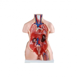 Biology Models Manufacturer India